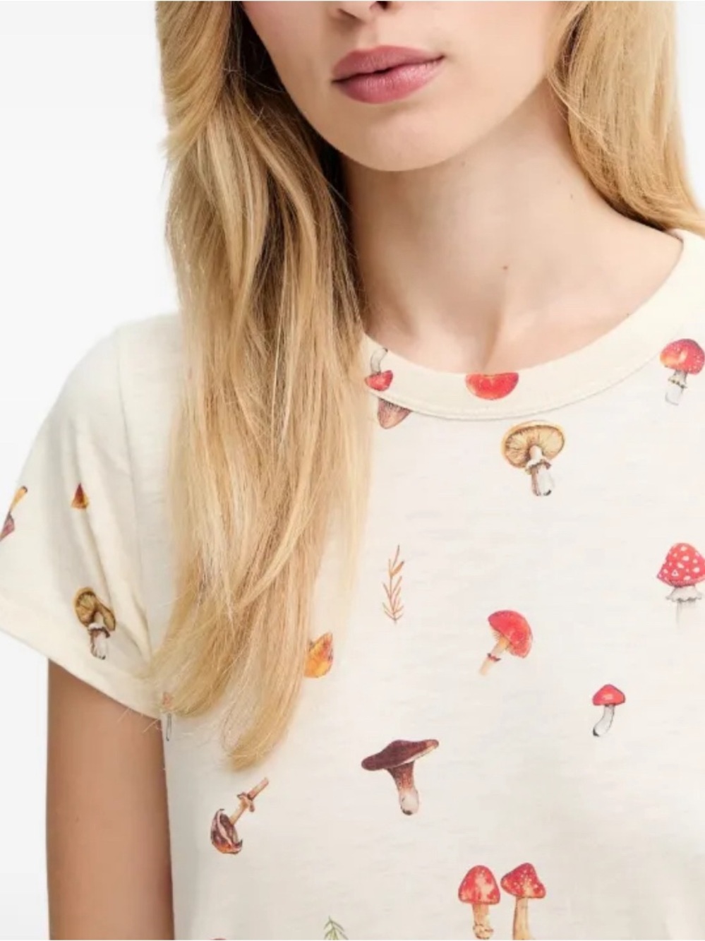 rag & bone Cream Tee with Red and Brown Mushroom Print - Picture 4 of 6